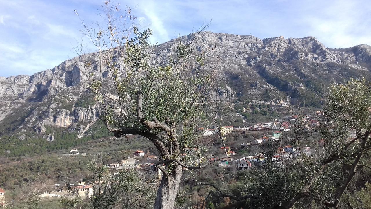 Kruja Hostel Krujë Exterior foto